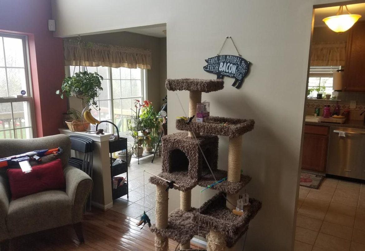 Jamison kitchen before remodeling