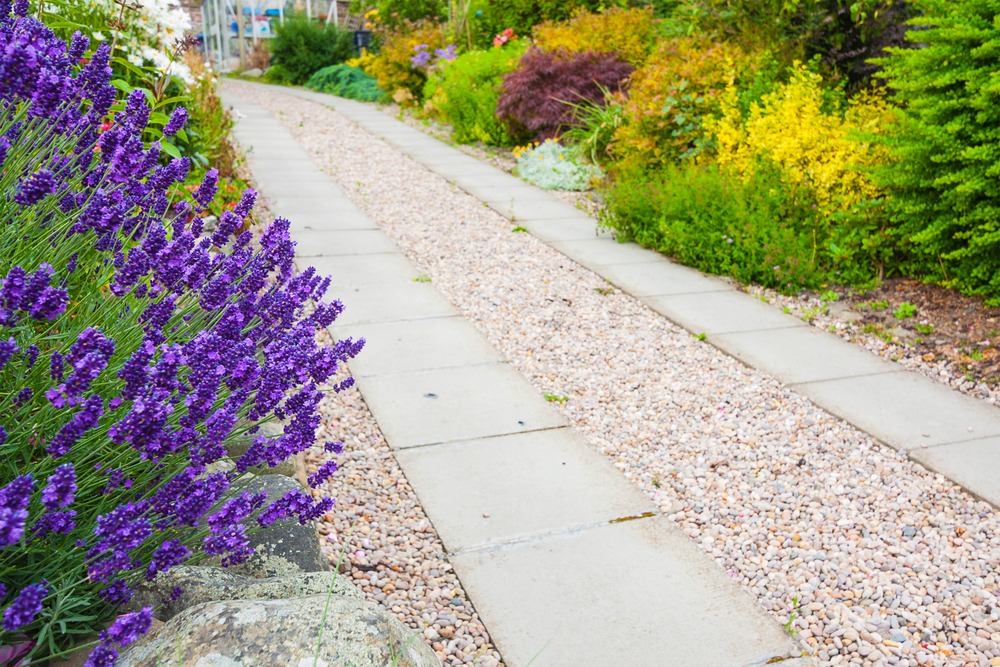 home upgrades for dog owners