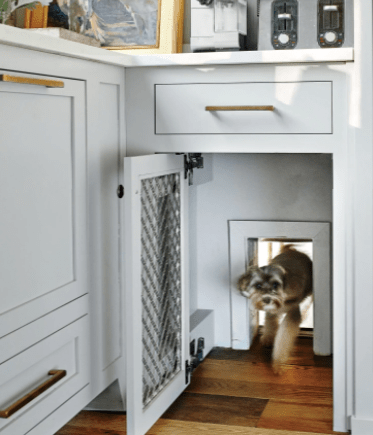 dog door